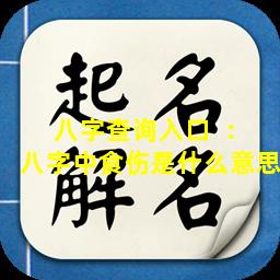 八字查询入口  ：八字中食伤是什么意思